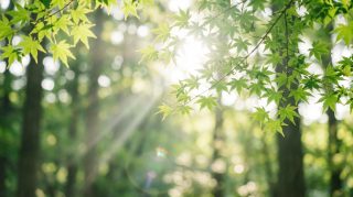 　　50代でも老けたくなくて始めた健康習慣が続かなかった理由